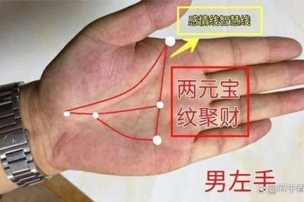 揭秘机遇纹手相：如何通过掌纹识别人生机遇