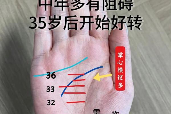 通过面相和流年预测未来的命运轨迹