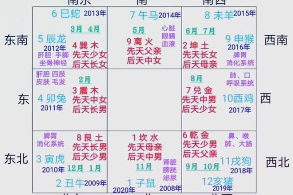 通过面相和流年预测未来的命运轨迹