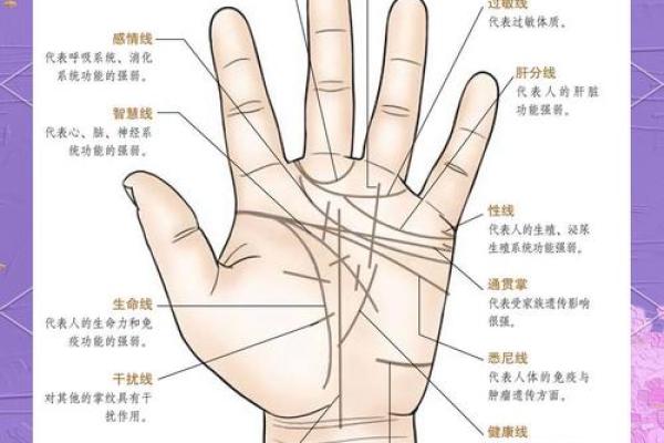 手相中的羽毛纹：揭示你与命运的神秘联系