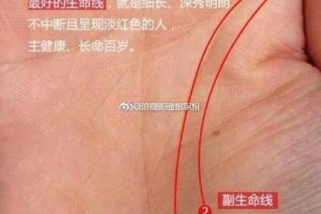 手相古书：揭示生命轨迹的古老指南