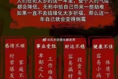 火鼠命的命理特征与事业发展