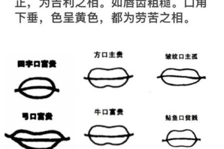 川字纹的面相解析与命运关系探讨
