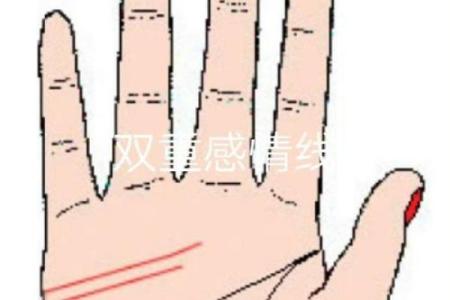 手相姻缘线详解：解读你的人生爱情轨迹