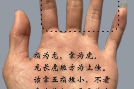 揭秘机遇纹手相：如何通过掌纹识别人生机遇