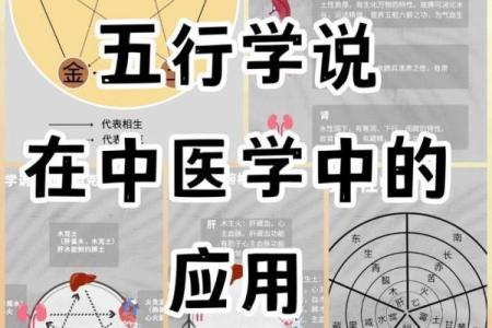 大五行在中医养生中的应用与实践