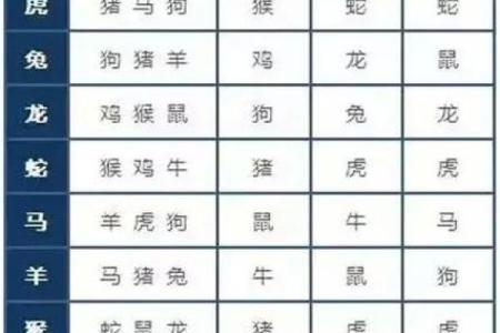 十二生肖相冲的影响与风水调节技巧
