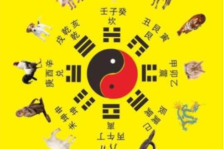女狗男羊婚姻相配吗？从生肖角度解析配对优劣