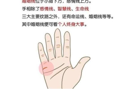 手相中的羽毛纹：揭示你与命运的神秘联系