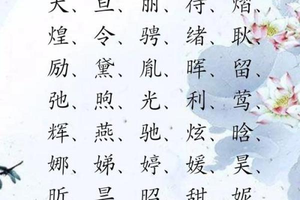 五行属火的吉祥字选取与寓意解析