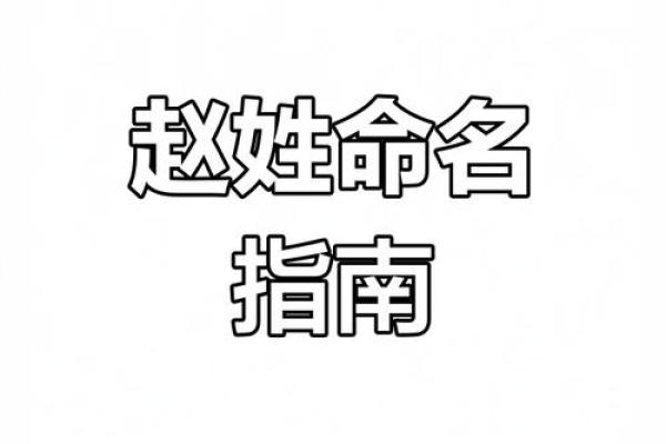 赵姓男孩名字选择指南：寓意美好的选名策略