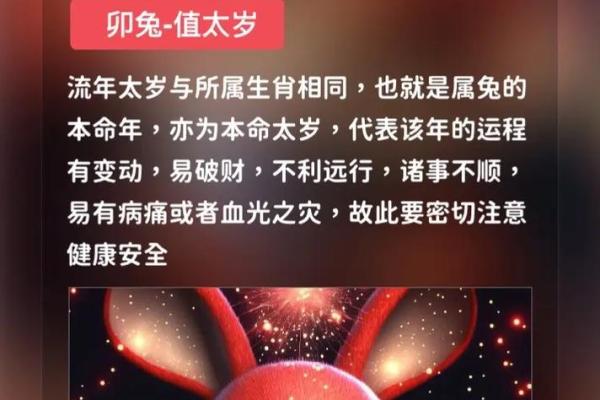 兔年感情运势走向 揭秘恋爱中的变化