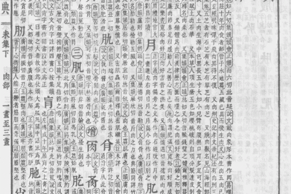 奕五行属什么及其对性格与命运的影响