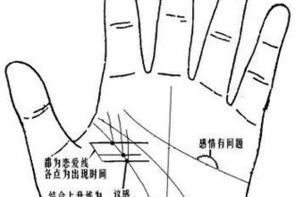 探秘手相解析：如何通过手纹预测未来