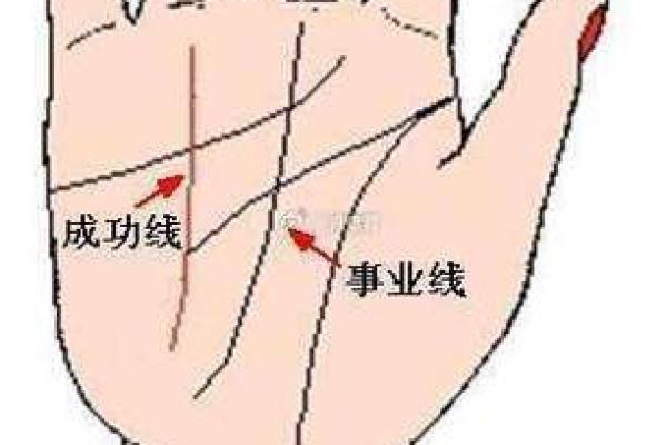 探秘手相解析：如何通过手纹预测未来