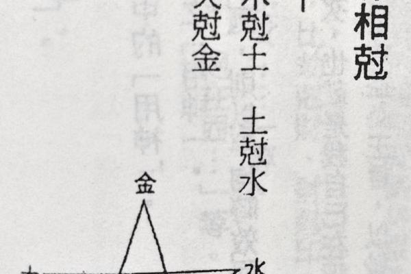 水木命详解：如何通过命理理解木水的相生相克
