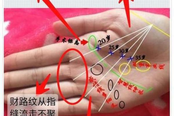 掌握手相财运密码，揭秘你的财富未来