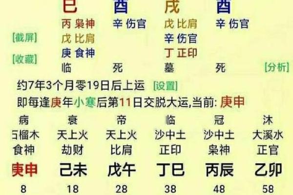 李居明十天干解析与命理运势深度剖析