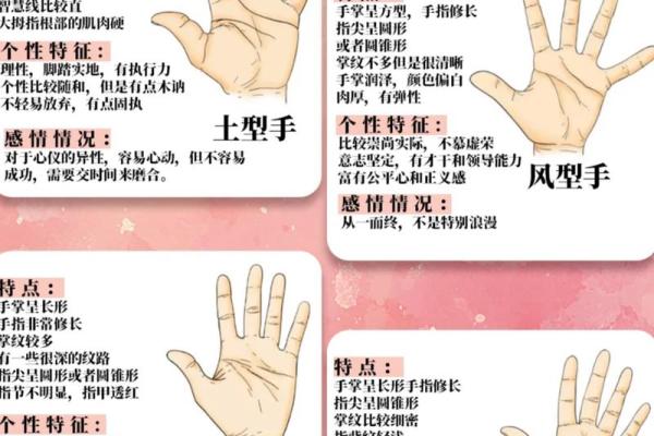 婴儿手相解析：从掌纹看宝宝未来发展潜力