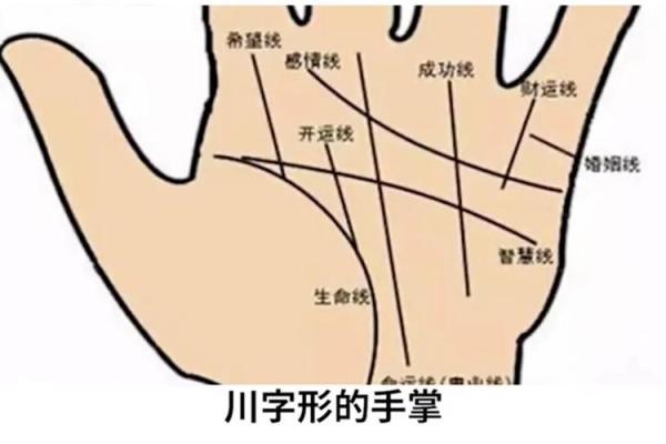 婴儿手相解析：从掌纹看宝宝未来发展潜力