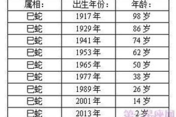 上命是什么意思及其深层含义解析