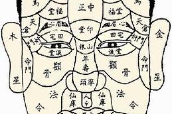 男人面相解析与性格特征深度剖析