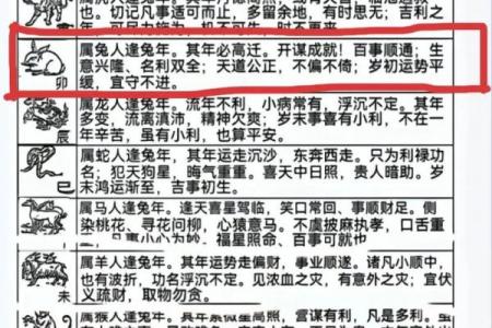 兔年感情运势走向 揭秘恋爱中的变化