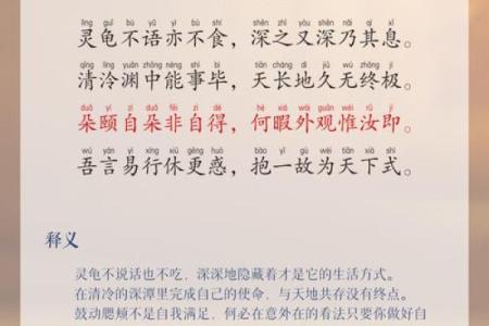 颐字在五行中的属性解析及其意义