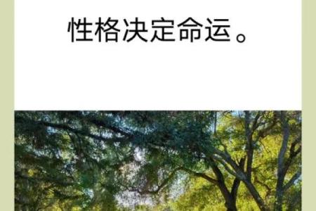 人格命理分析：为何你的命运是由性格决定的