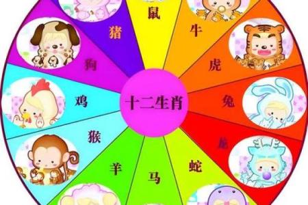十二生肖代号背后的寓意与象征解析