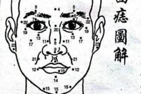 面相知识大全：怎样通过面部特征预测人生大事