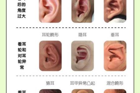 耳朵小的面相有什么意义？解读耳朵大小与命运关系