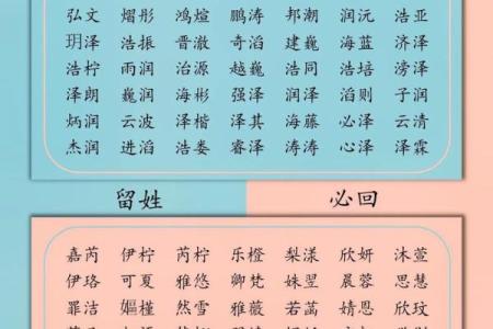 如何通过国学起名公司为孩子传承文化与智慧