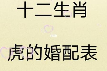 生肖男鸡与女虎的婚姻缘分分析