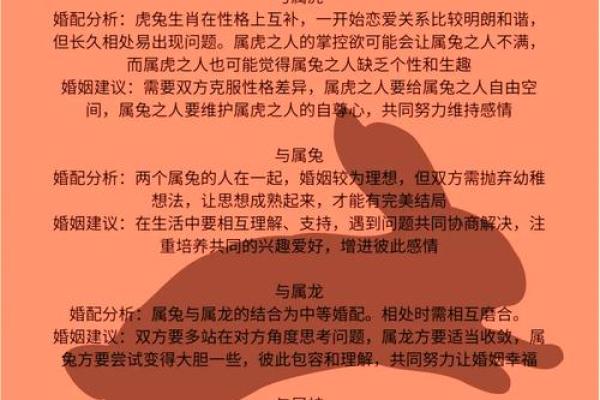 牛与兔的生肖配对：是冲突还是互补？