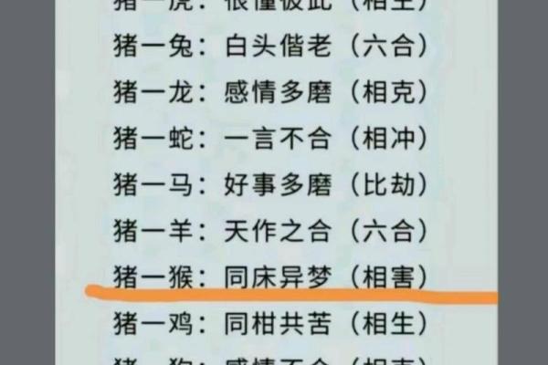 牛与兔的生肖配对：是冲突还是互补？