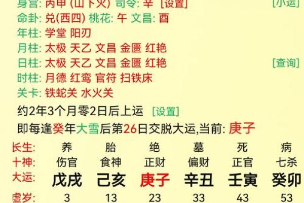 深入了解纳天干辛对命运的塑造作用