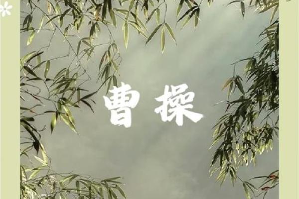 曹操八字解析：命运中的权谋与智谋之道