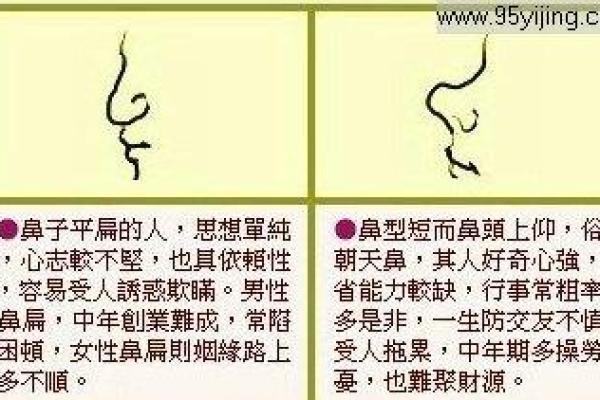 鼻子宽的面相解析及其对命运的影响