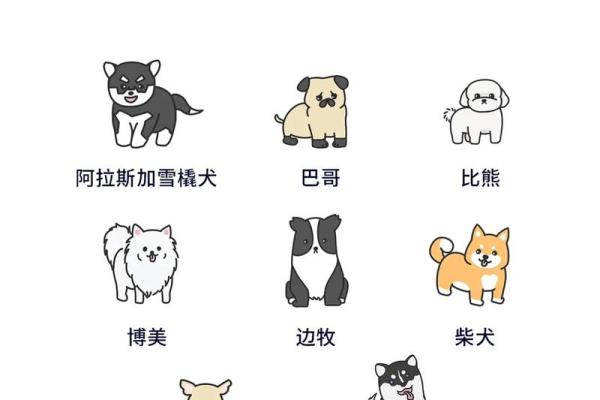 给狗宝宝起名字的创意灵感与建议