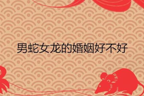 女蛇与男猴的婚姻能否长久 需要注意的性格差异