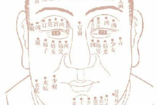 男人面部痣相图解：解读你的人生轨迹与运势
