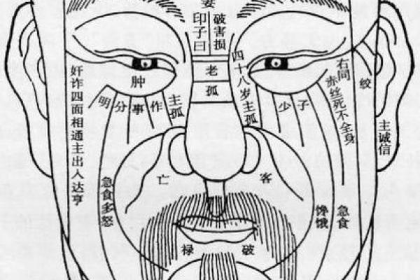 男人面部痣相图解：解读你的人生轨迹与运势