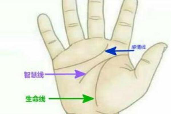 手相学中的女人生命线图解：揭示你的生命轨迹