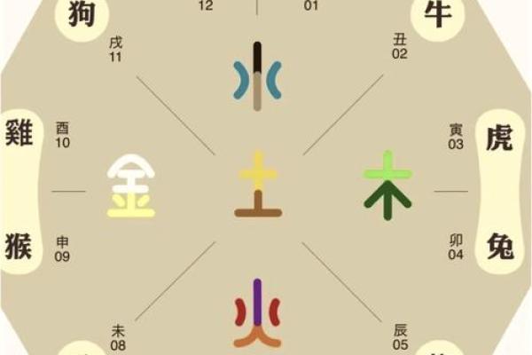 十二生肖与风水的深刻联系