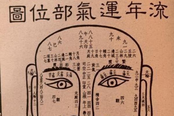 从面相变化看个人运势的微妙转变