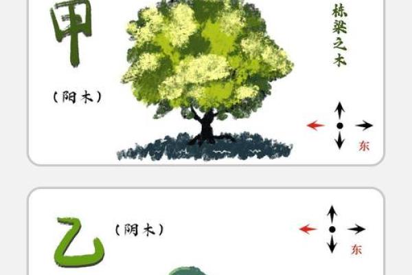 天干克地址的意义与应用解析
