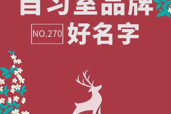 长春专业起名公司助力企业品牌打造
