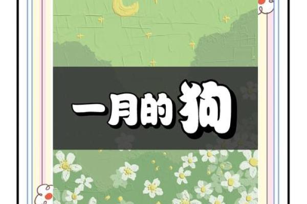 属狗女性下半年运势如何？事业与感情运势全解析