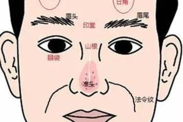 眉毛淡的面相解析与命运走向分析